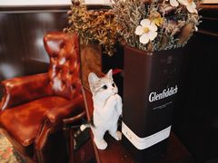 -Catail前苑(前门大街店)