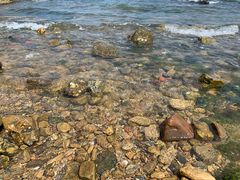 -海源公园