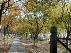 -苏州太湖湖滨国家湿地公园