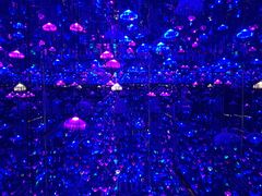 -杭州西湖星空魔幻城(星空艺术馆品牌旗舰店)