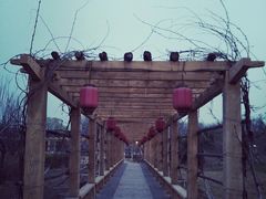 -中家鑫园温泉酒店鑫悦汤泉