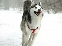 -万达影城(联想科技城店)