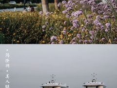 -阳澄湖半岛旅游度假区