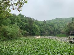 -天目湖山水园
