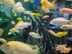 -太平洋海底世界