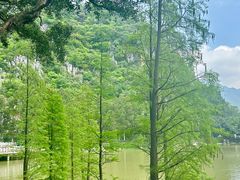 -星湖旅游景区七星岩