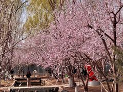 -三里河公园