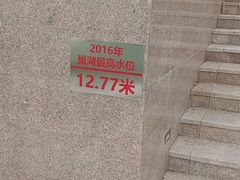 -合肥滨湖国家森林公园