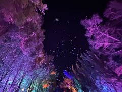 -长岛南北长山旅游景区