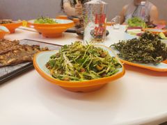 -向外鱼乐·土菜·虹鳟鱼
