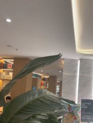 -LIHER北京丽合医疗美容医院