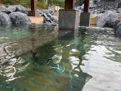 -和园景逸大酒店朗月汤泉