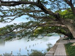 -江心屿景区