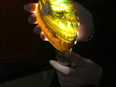 -青岛贝壳博物馆