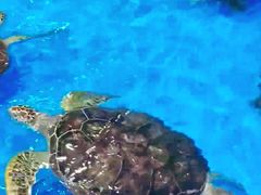-泉城欧乐堡海洋极地世界