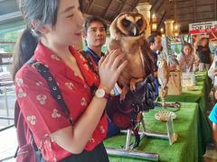 -清迈夜间动物园