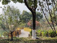 -圩墩遗址公园