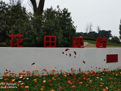 -铁山坪森林公园