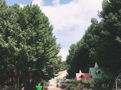 -木兰云雾山