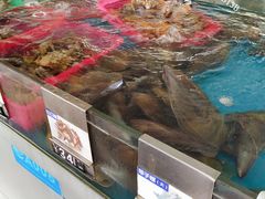 -亚龙湾8号(丁村万人海鲜广场店)