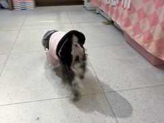-FAELING PETS美天灵宠物(富力广场店)