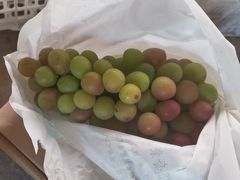 -马陆小张葡萄园农家乐