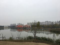 -上海长兴岛郊野公园