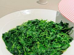 -圆苑(静安寺店)