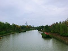 -上海浦江郊野公园-2号停车场