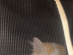 -瑞鹏宠物医院·骨科·猫科·内科(第一中心)