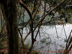 -祁门牯牛降观音堂风景区