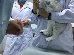 -达爱动物医院·犬猫分区·CT·复杂眼科(远洋山水分院)