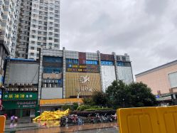 -众刺纹画·纹身·穿孔饰品·海娜定制