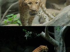 -长鹿旅游休博园