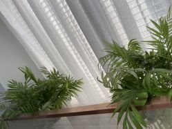 -悟空祛痘·诺奖技术专业店