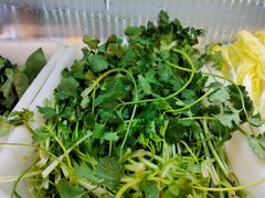 -张亮麻辣烫(海口友谊阳光城店)