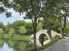 -泰州凤城河风景区-泰山公园