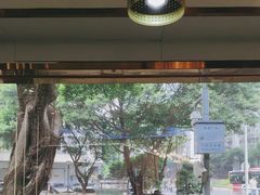 -探窝·竹笙椰子鸡(杨箕店)