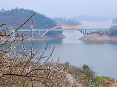 -广州市流溪河国家森林公园