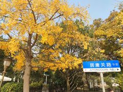 -八大关景区