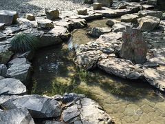 -兰亭风景区