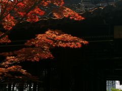 -梅园