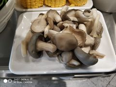 -古乐牛香·鲜牛肉牛杂火锅(千灯店)
