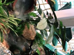 -相遇·鲜炒黄牛肉(丹阳吾悦广场店)