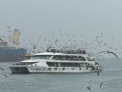 -海驴岛(荣成市)