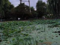 -黛秀湖公园