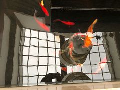 -苏州环秀晓筑养生度假村