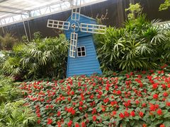 -南宫五洲植物乐园