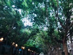 -花马天堂云南餐厅 Lost Heaven(高邮路店)