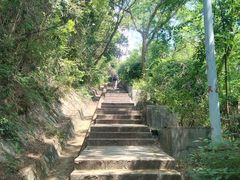 -梧桐山风景名胜区